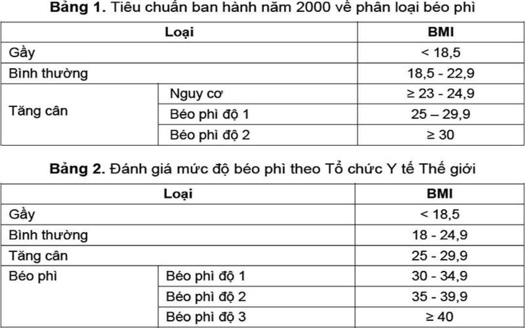 Tiêu chuẩn phân loại các chỉ số BMI ở cơ thể người