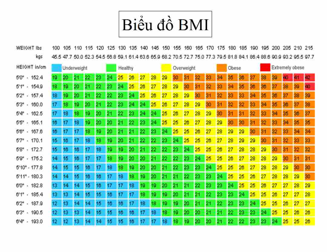 Không thực hiện tính chỉ số BMI với người đang mang thai