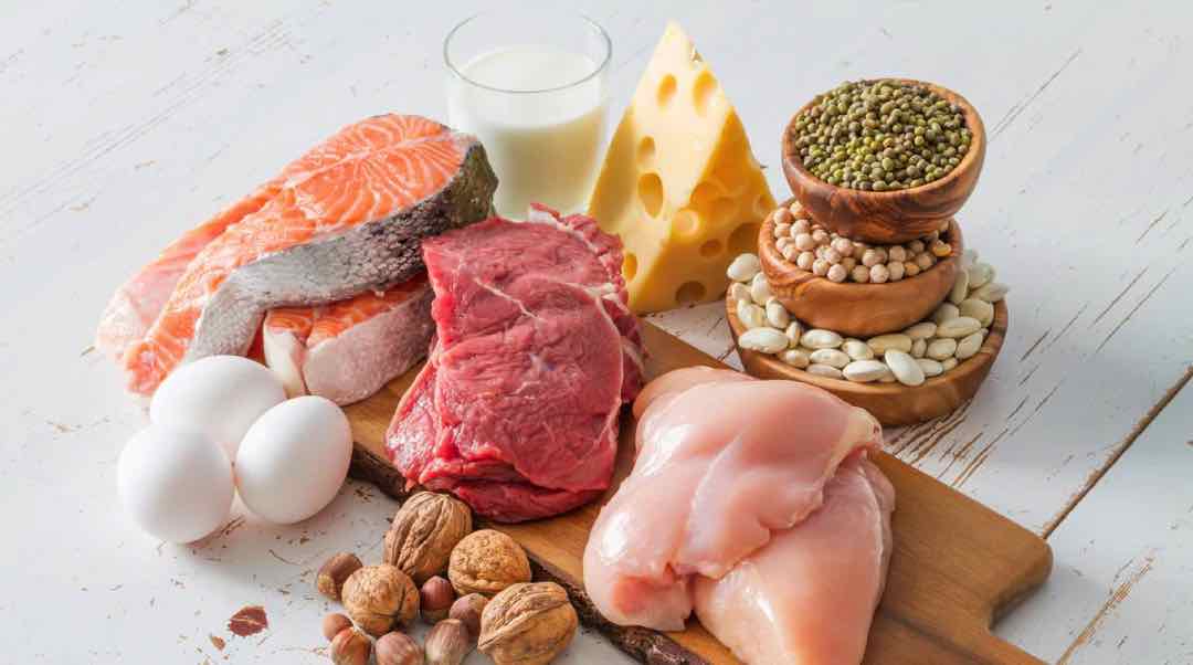 Protein có nhiều trong thịt và các loại trứng, sữa