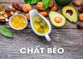 Tìm hiểu sơ lược về chất béo