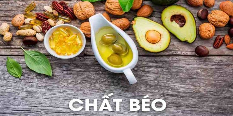 Tìm hiểu sơ lược về chất béo