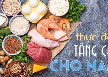 Protein đóng vai trò quan trọng góp mặt ở thực đơn tăng cân