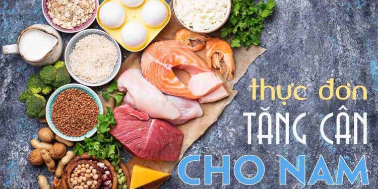 Protein đóng vai trò quan trọng góp mặt ở thực đơn tăng cân