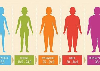 Cách tính chỉ số BMI cho nữ đúng và bí quyết giữ BMI chuẩn