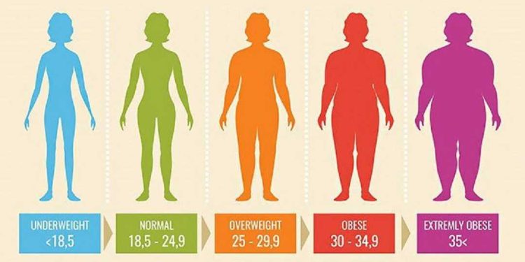 Cách tính chỉ số BMI cho nữ đúng và bí quyết giữ BMI chuẩn