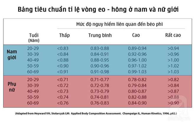 Cách tính BMI nữ theo tỉ lệ vòng eo – hông