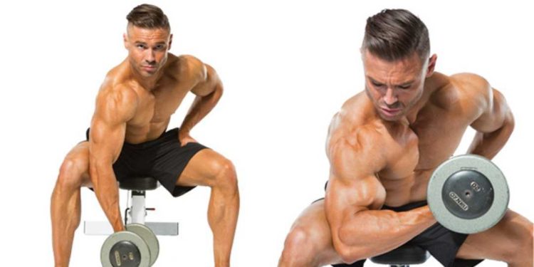 Tập tạ tay tư thế ngồi