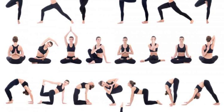 12 tư thế yoga cơ bản quan trọng nhất cho người mới tập