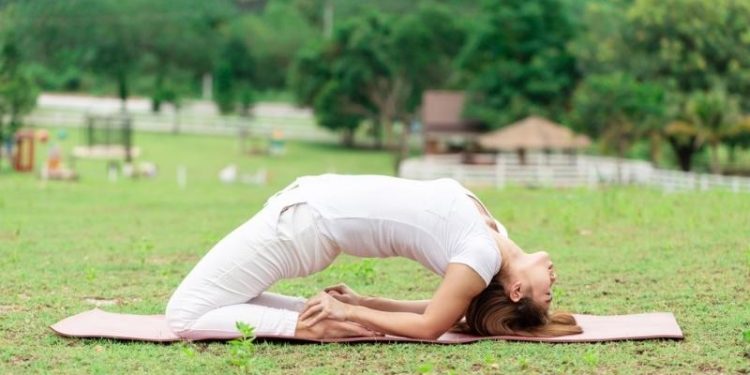 Tư thế kim cương tròn – Laghu Vajrasana