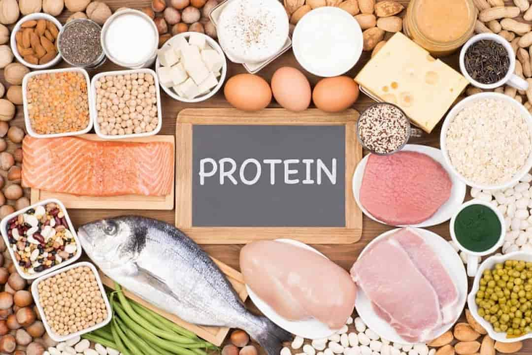 Thịt cá trứng sữa và các loại đậu là nguồn cung cấp protein tuyệt vời