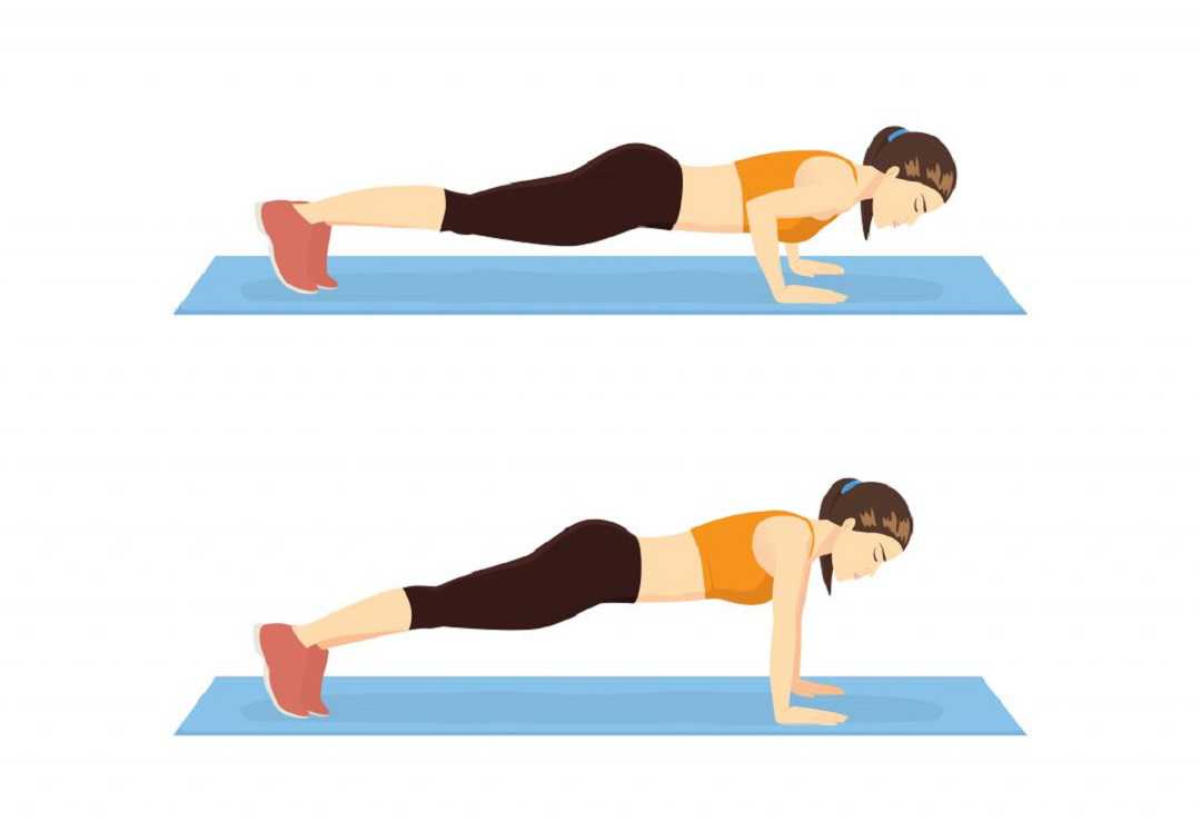 Bài tập hít đất plank